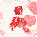 2万名跑友燃动全城，清远马拉松赛规模创历史新高